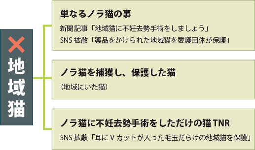 地域猫ではない → 単なるノラ猫の事：新聞記事「地域猫に不妊去勢手術をしましょう」、SNS拡散「薬品をかけられた地域猫を愛護団体が保護」、ノラ猫を捕獲し、保護した猫（地域にいた猫）、ノラ猫に不妊去勢手術をしただけの猫 TNR：SNS拡散「耳にVカットが入った毛玉だらけの地域猫を保護」