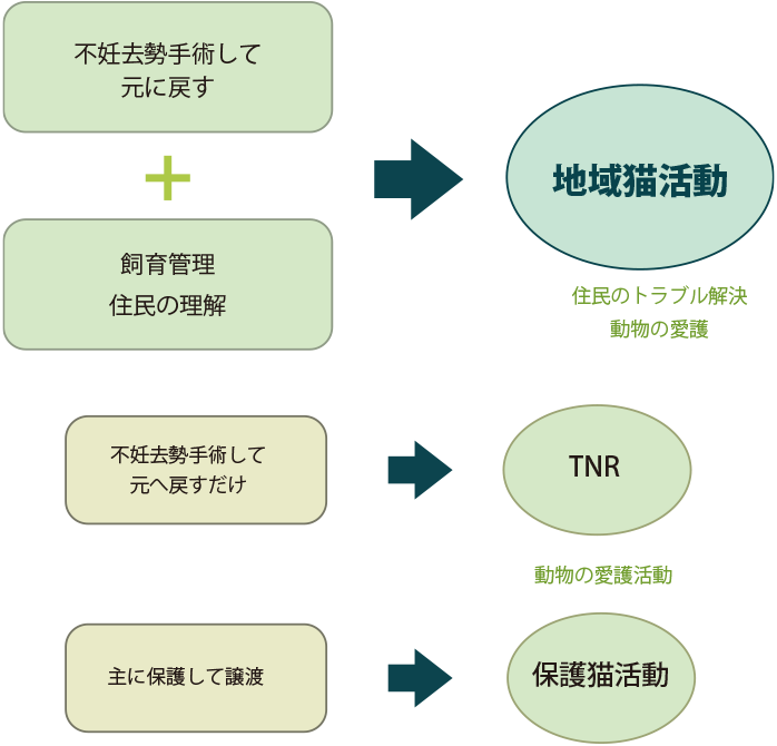 不妊去勢手術して元に戻す+飼育管理、住民の理解→地域猫活動（住民のトラブル解決、動物の愛護）、不妊去勢手術して元へ戻すだけ→TNR活動（動物の愛護活動）、主に保護して譲渡→保護猫活動