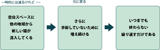 一時的には減るけれど・・・空白スペースに他の地域から新しい猫が流入してくる→元に戻る。さらに手術していないために増え続ける→いつまでも終わらない。繰り返すだけである